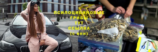 первитин Дмитров