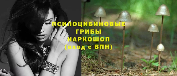 мескалин Елабуга