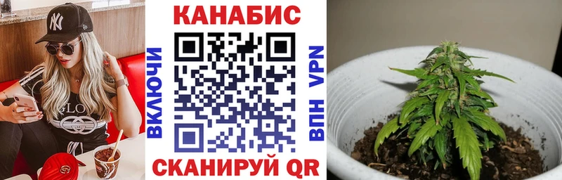 Каннабис семена  Купить закладки  Енисейск 